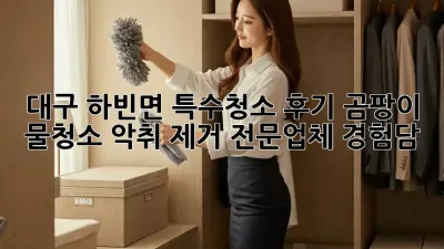 대구 하빈면 특수청소 후기: 곰팡이, 물청소, 악취 제거 전문업체 경험담